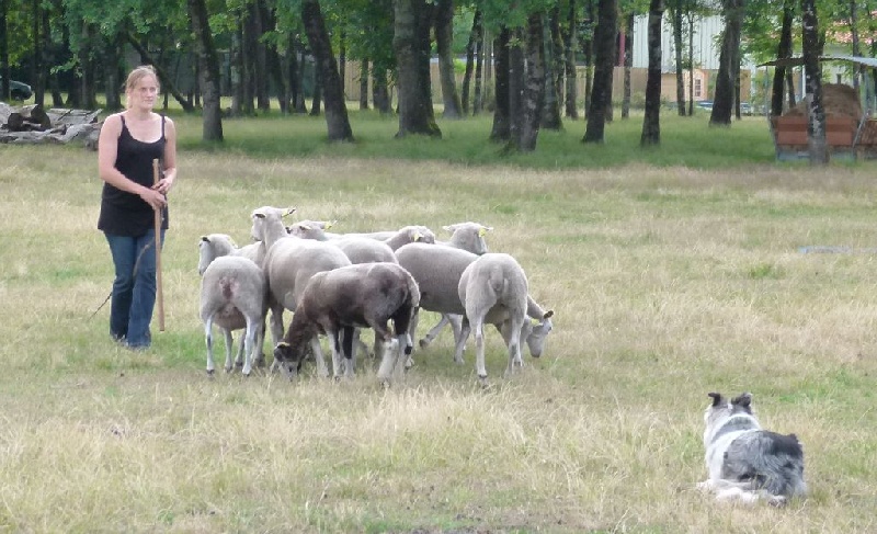 Publication : des Lacs de la Cote d'Argent