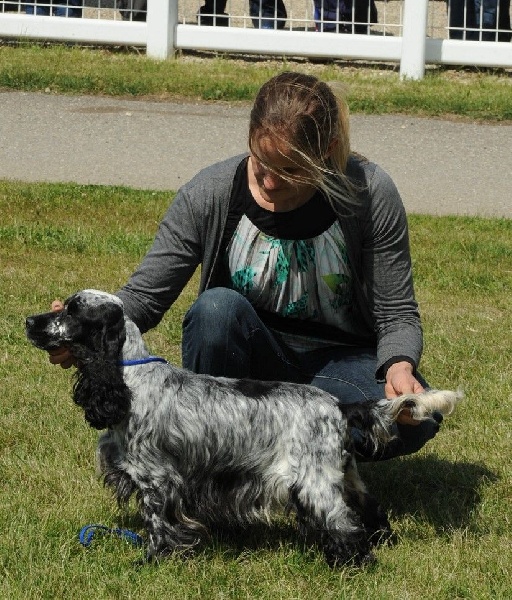 Ice tea des Lacs de la Cote d'Argent