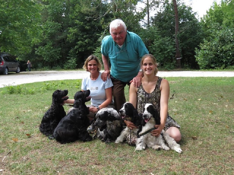 Ice tea des Lacs de la Cote d'Argent