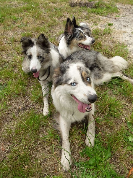 Publication : des Lacs de la Cote d'Argent