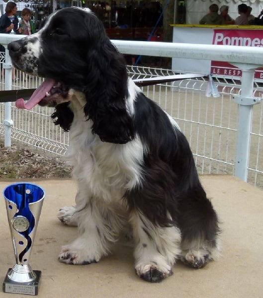 Ice tea des Lacs de la Cote d'Argent