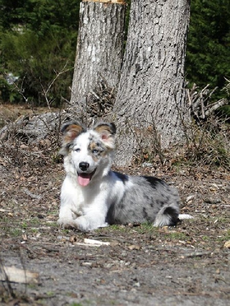 Publication : des Lacs de la Cote d'Argent