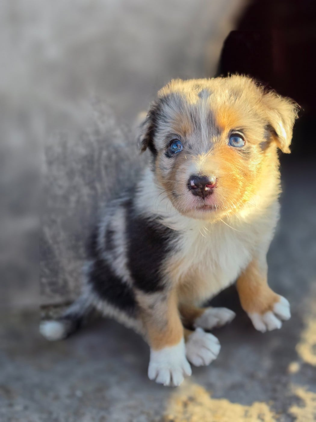Biska