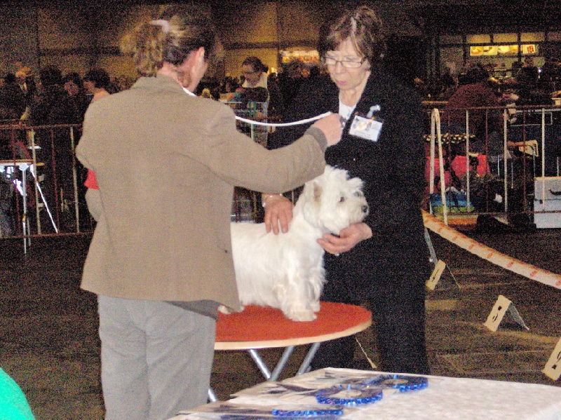 Delnoune's Direct to cloud nine dit - 1er Excellent Classe Intermédiaire