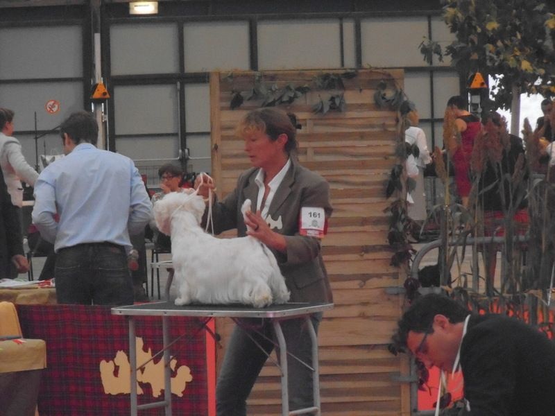 Delnoune's Direct to cloud nine dit - Très bon