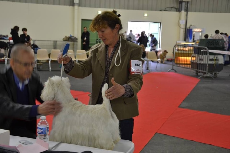 Delnoune's Direct to cloud nine dit - 2em RCACS