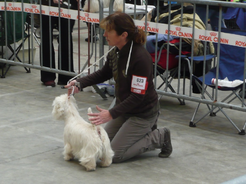 Delnoune's Direct to cloud nine dit - 1er excellent Classe intermédiaire