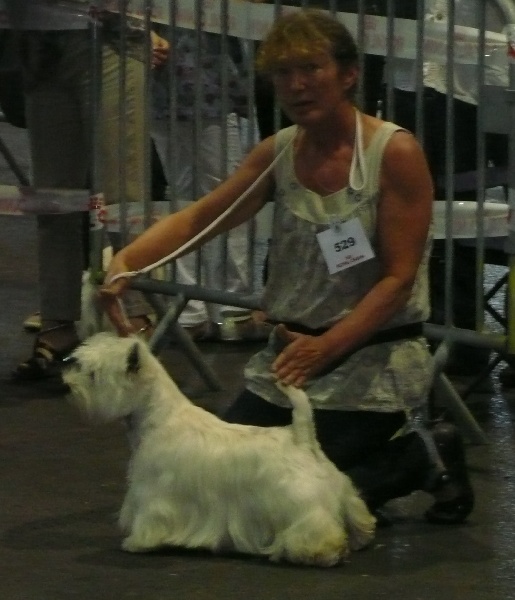 Delnoune's Direct to cloud nine dit - 3èm Excellent