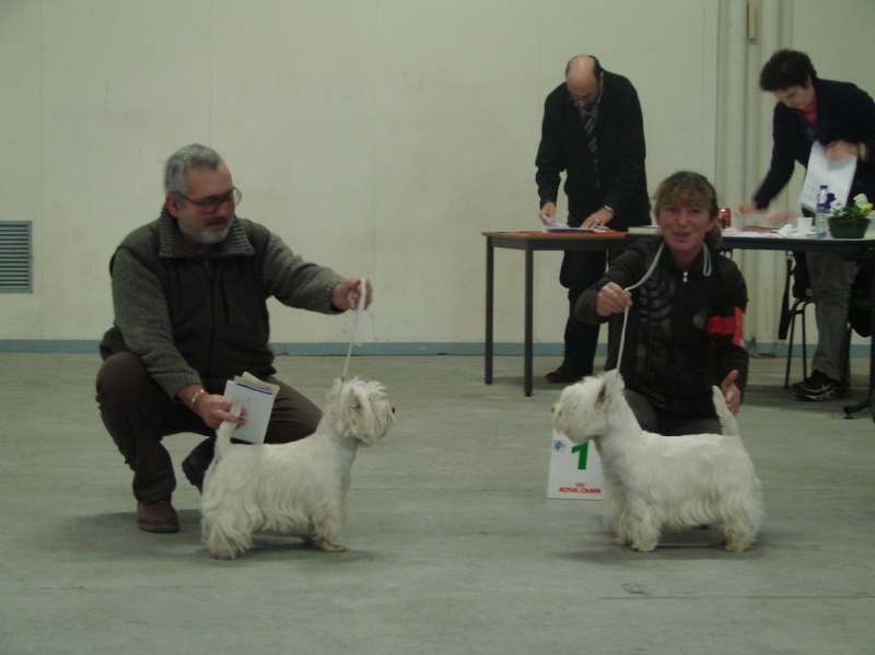 Delnoune's Direct to cloud nine dit - 1er Excellent Meilleur Jeune