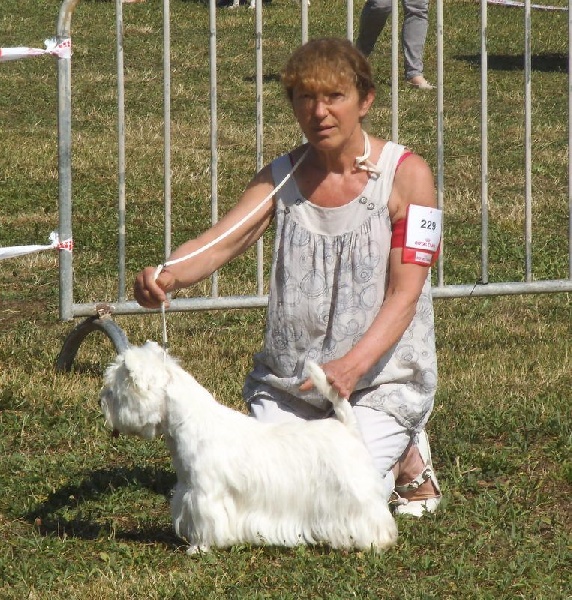 Delnoune's Direct to cloud nine dit - 1er Excellent RCACS