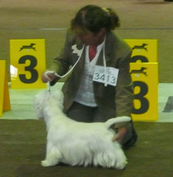 Delnoune's Direct to cloud nine dit - 4èm Très bon