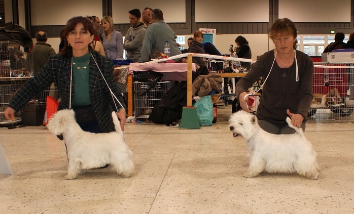 Delnoune's Direct to cloud nine dit - 1er Excellent classe intermédiaire