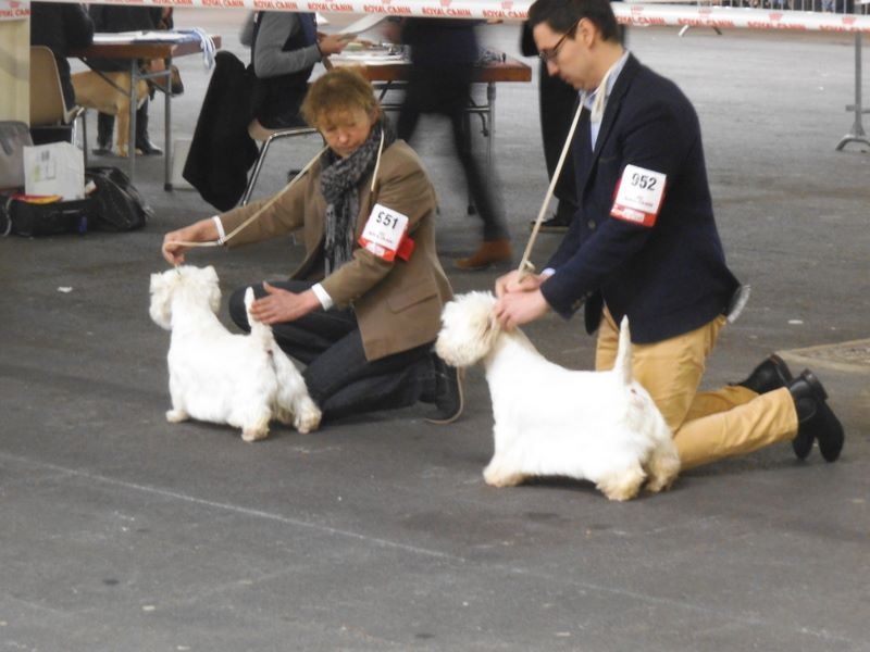 Delnoune's Direct to cloud nine dit - 3èm excellent classe ouverte