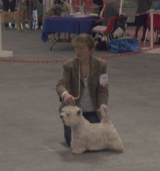 Delnoune's Direct to cloud nine dit - 3èm excellent classe ouverte