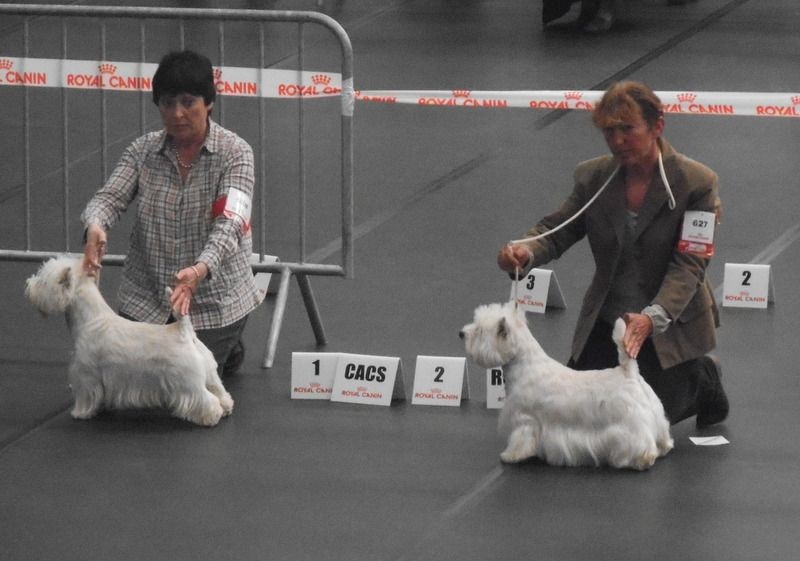 Delnoune's Direct to cloud nine dit - 2èm RCACS