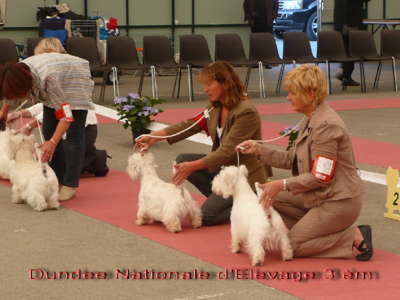 Delnoune's Direct to cloud nine dit - 3èm Excellent Classe Jeune