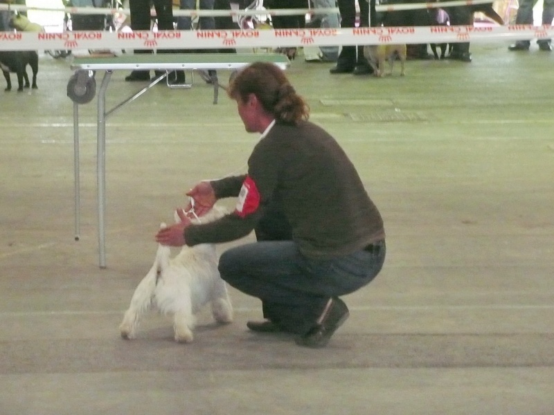 Delnoune's Direct to cloud nine dit - TRES PROMETTEUR