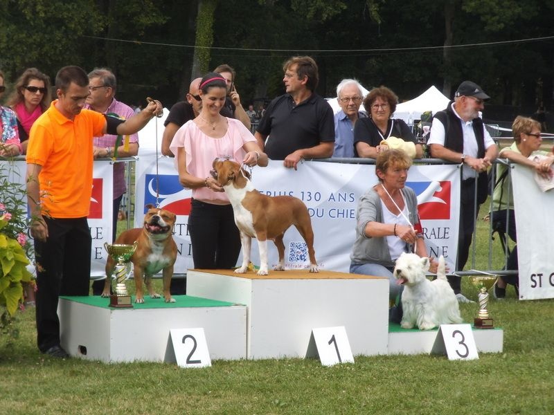 Delnoune's Direct to cloud nine dit - 1er Excellent CACS Meilleur de race 3èm Ring d'honneur