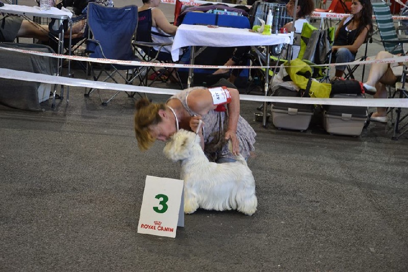 Delnoune's Direct to cloud nine dit - 3èm Excellent