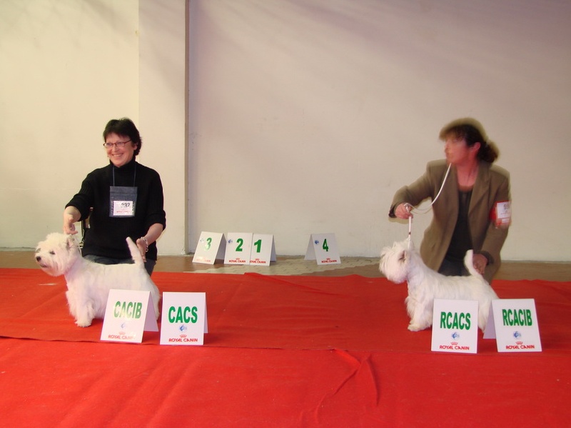 Delnoune's Direct to cloud nine dit - 1er Excellent classe intermédiaire RCACIB