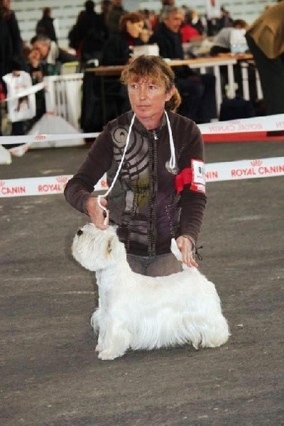 Delnoune's Direct to cloud nine dit - RCACS RCACIB classe ouverte