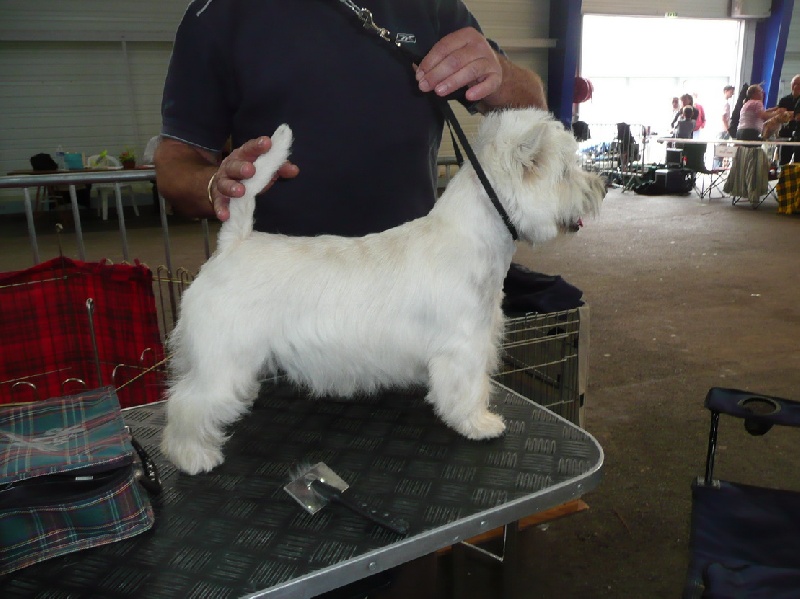 Delnoune's Direct to cloud nine dit - Très Prometteur