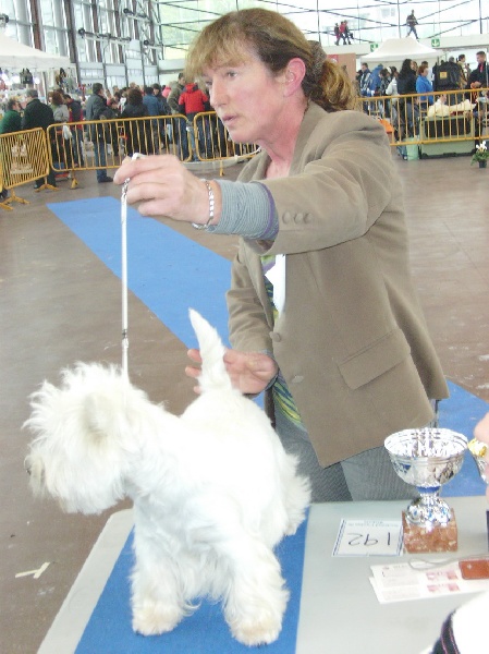 Delnoune's Direct to cloud nine dit - 1er EXCELLENT MEILLEUR JEUNE