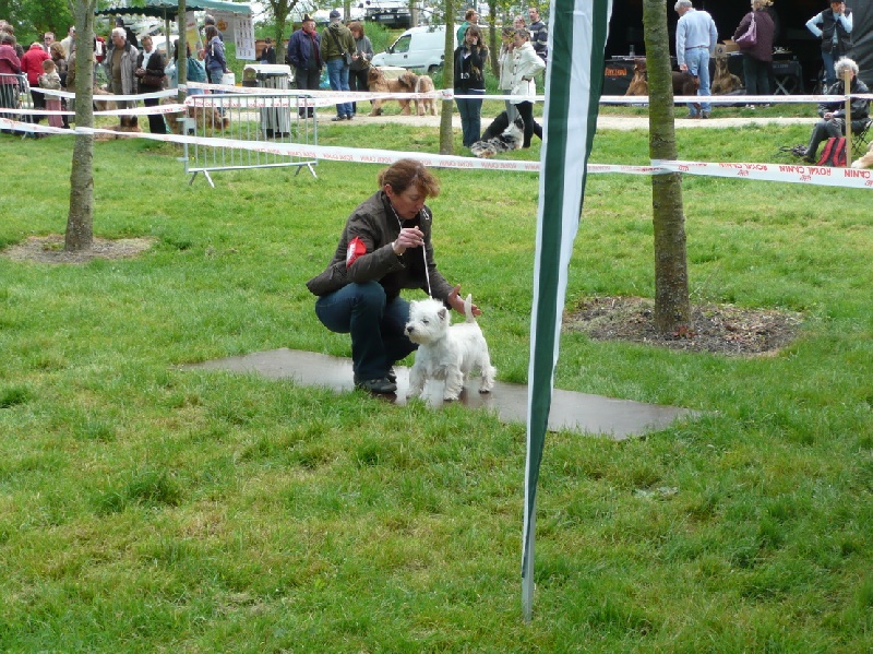 Delnoune's Direct to cloud nine dit - Très prometteur