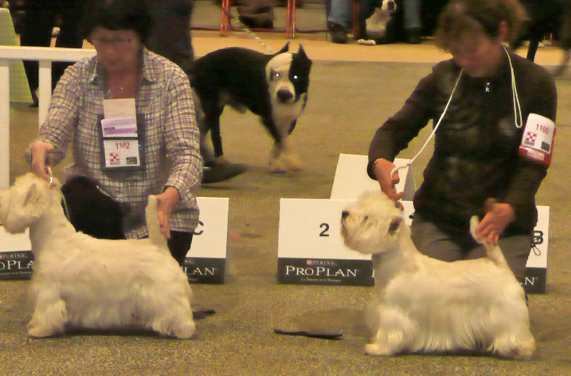 Delnoune's Direct to cloud nine dit - RCACS RCACIB classe ouverte