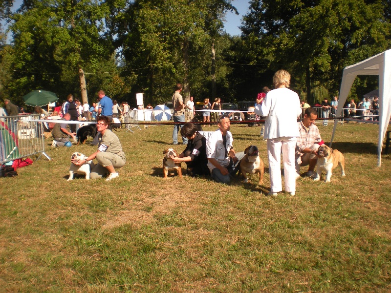 untouch-a-bull Assiduity - 1e excellent