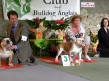 untouch-a-bull Bandit - 3e excellent