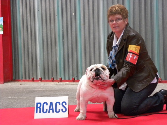 untouch-a-bull Assiduity - RCAC/RCACIB