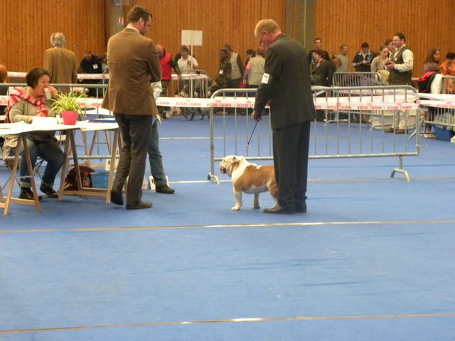 untouch-a-bull Bandit - 2e excellent