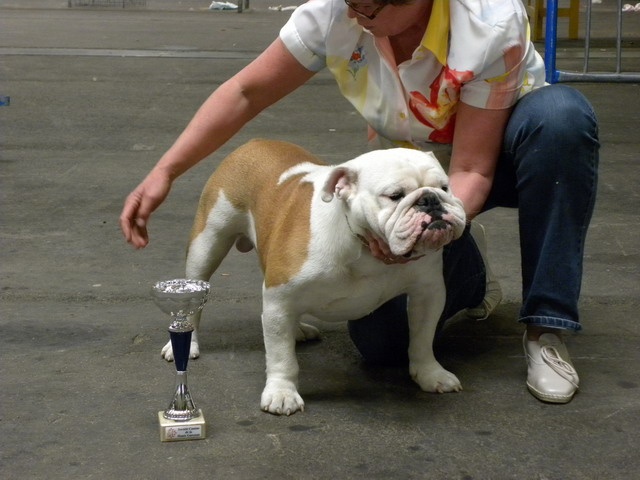 untouch-a-bull Bandit - 4e excellent