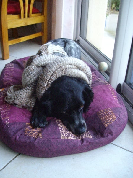 Publication : des bois de Keremma