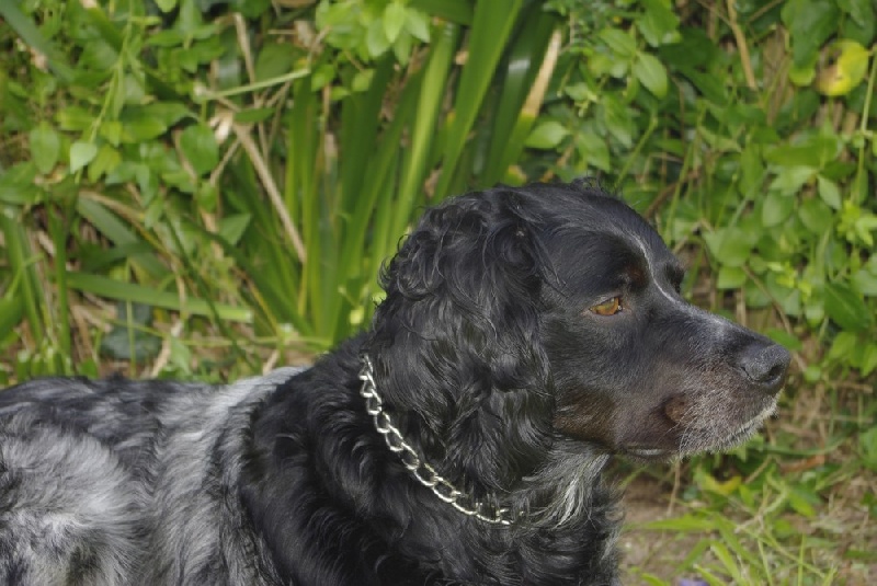 Publication : des bois de Keremma