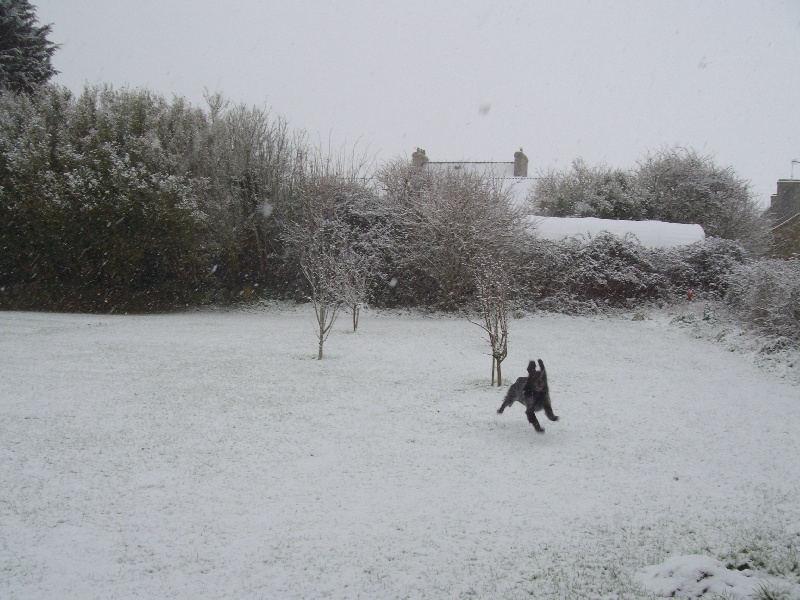 Publication : des bois de Keremma