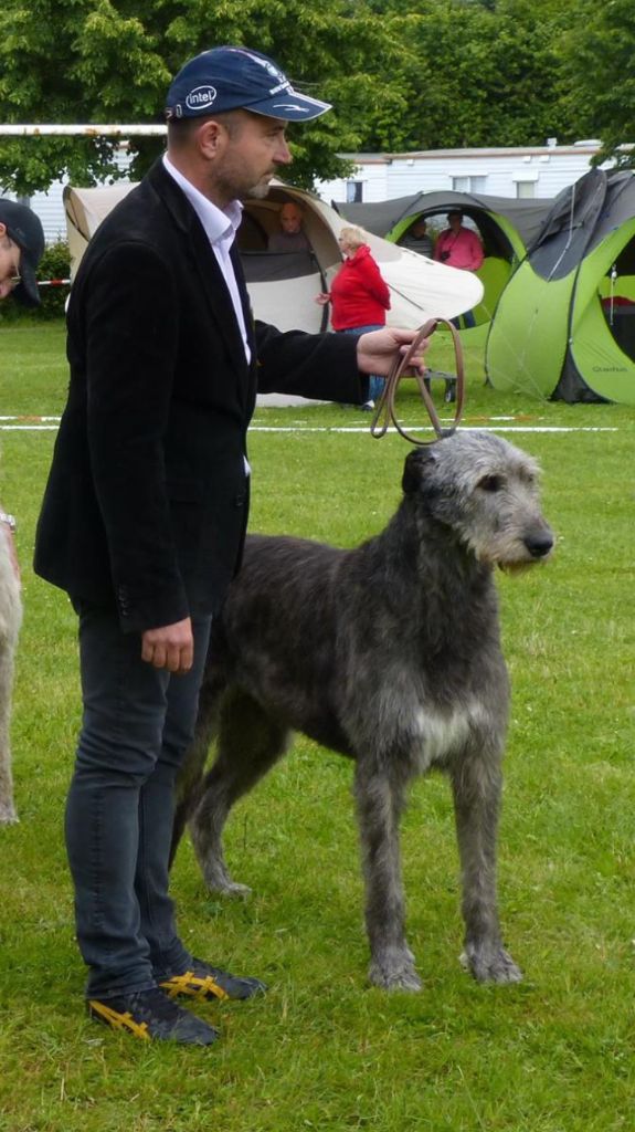 Publication : du Chrystal d'Ossian