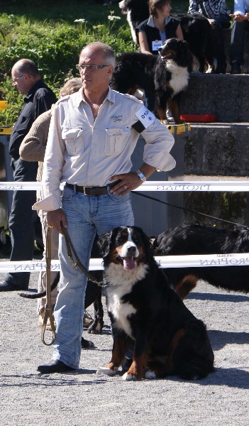 Dorenka des mystères du vieux saule - EXCELLENT - CLASSE OUVERTE FEMELLE