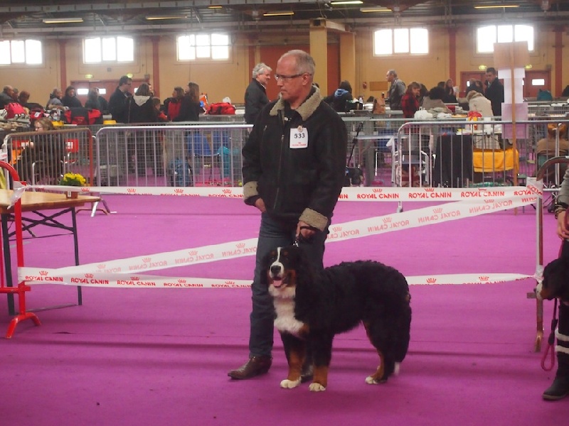 H'Ïduna du mas de Jalnot - PROMETTEUR CLASSE PUPPY