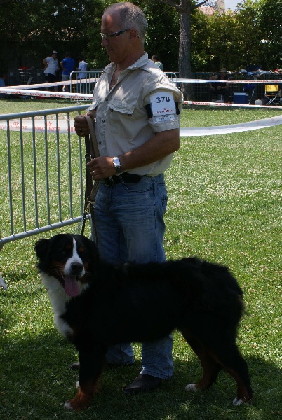 Dorenka des mystères du vieux saule - EXCELLENT - INTERMEDIAIRE FEMELLE