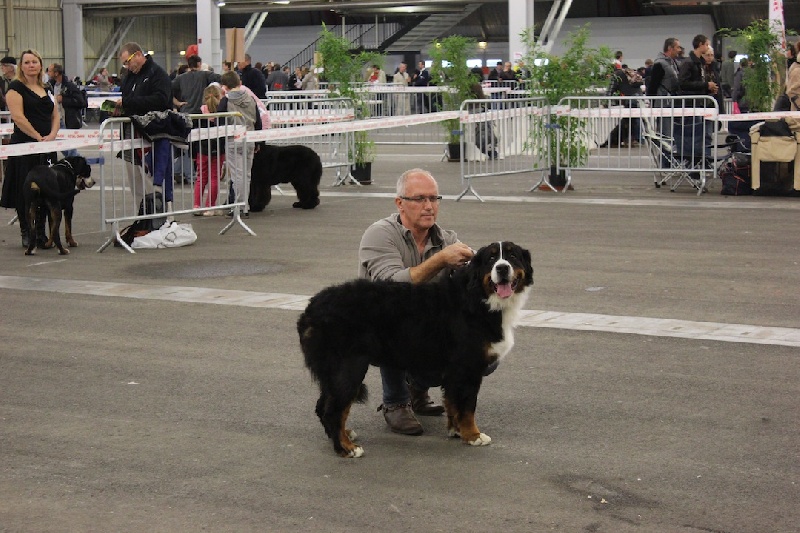 H'Ïduna du mas de Jalnot - 1ER TB EN CJF