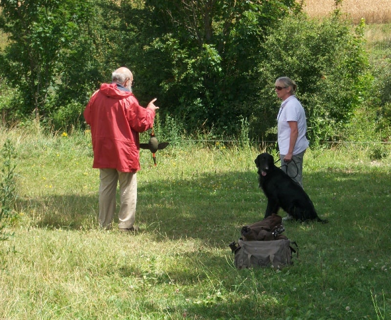 Publication : Mandaral