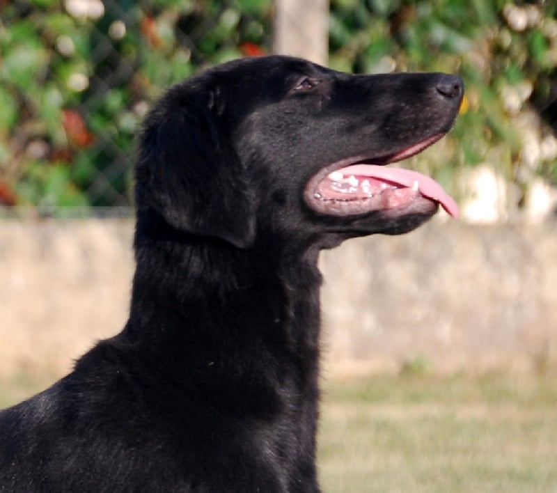 Publication : Mandaral