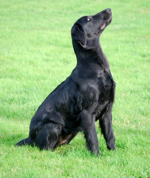 Publication : Mandaral