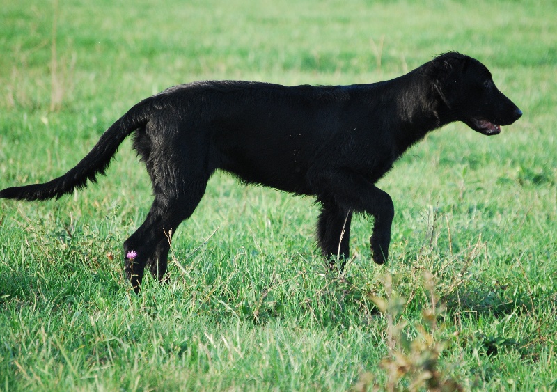 Publication : Mandaral