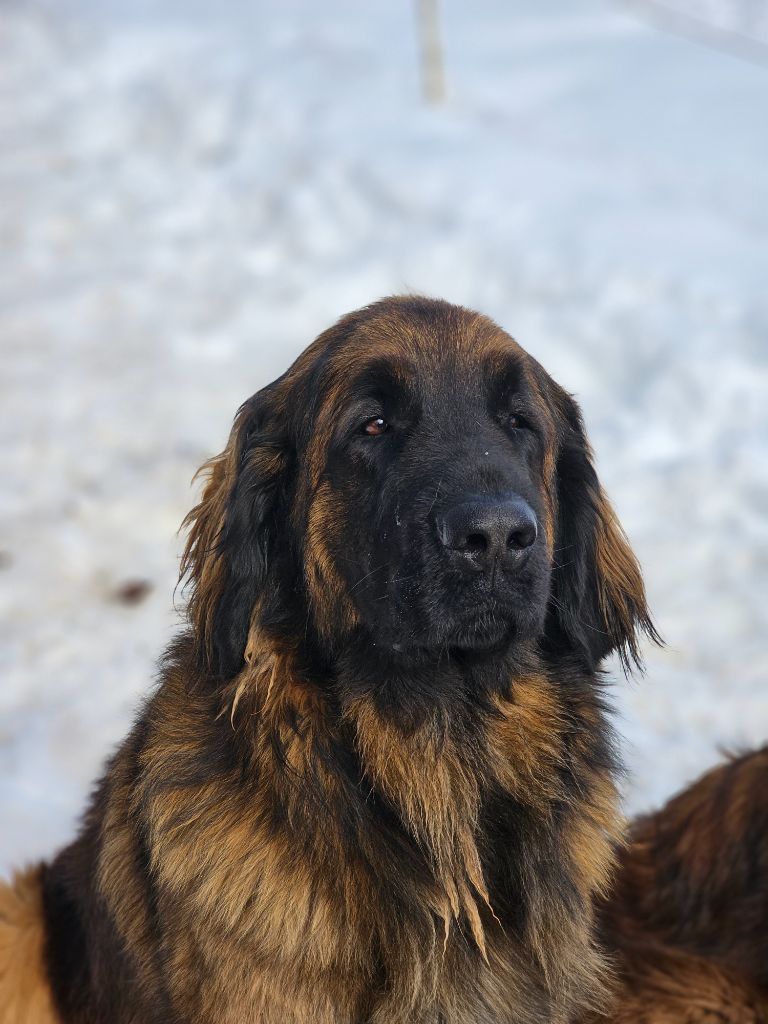 Publication : des petites créatures divines Auteur : Sandre OTHENIN