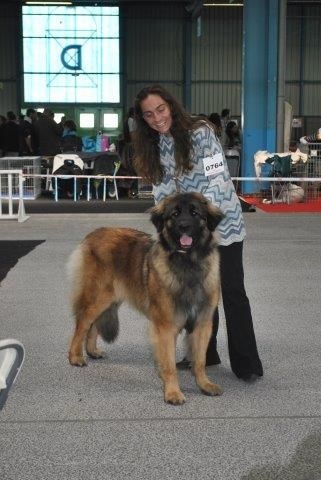 Hubertine sharline des fillots de morphée - 1er Excellent