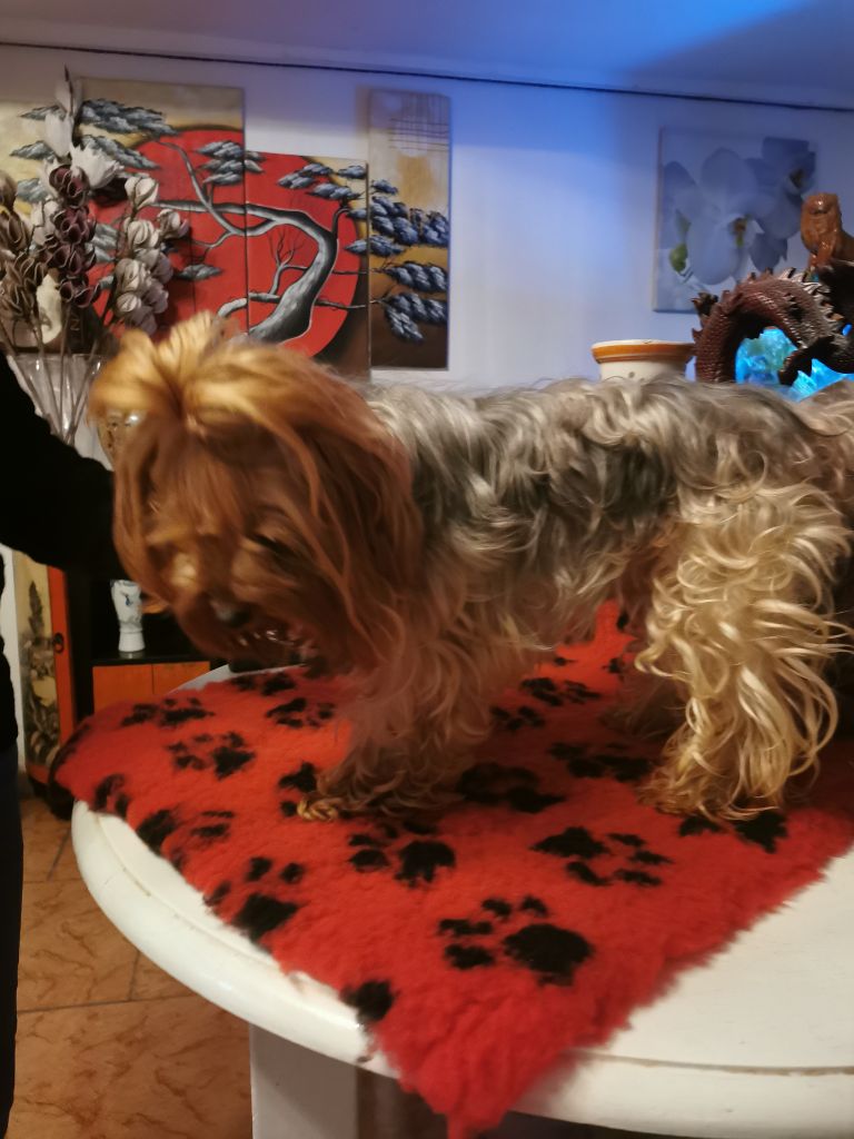 Publication : des Merveilles de Juliette