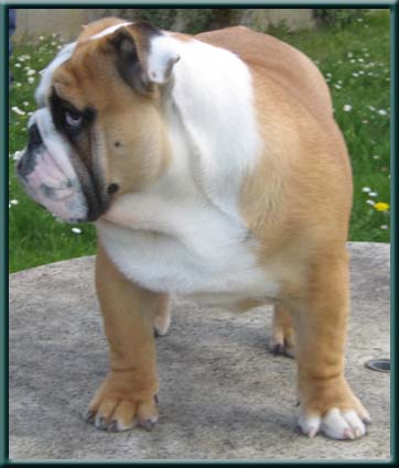 Publication : du domaine de Cateline Auteur : BARRIONUEVO